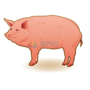 趣味活潑形象生動可愛小動物小豬卡通圖