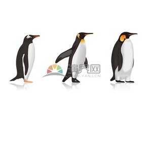  Penguin growth cartoon elements