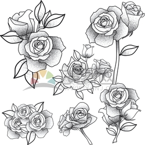  Simple design, smooth lines, tattoo decoration, rose pattern collection