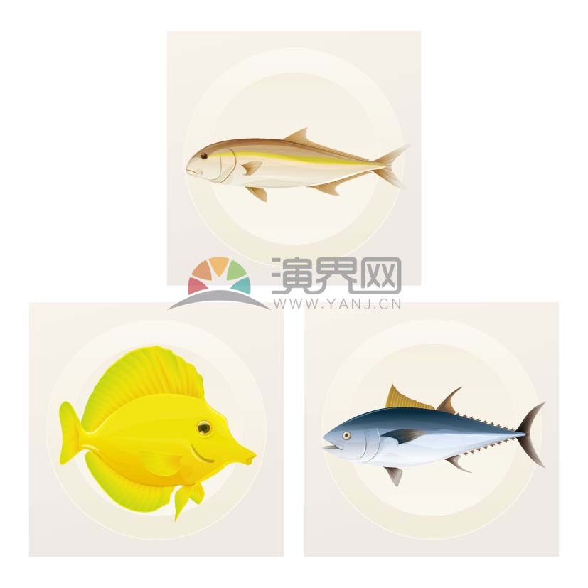 魚類合集