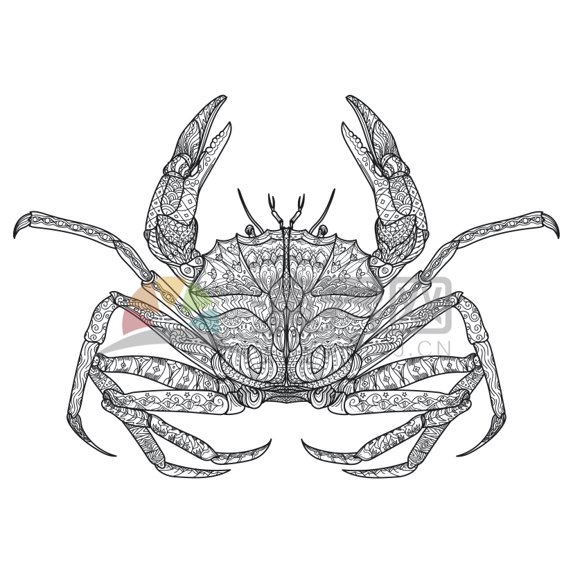 簡約設(shè)計線條流暢花紋紋身裝飾螃蟹卡通圖案