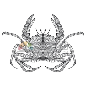 簡約設(shè)計(jì)線條流暢花紋紋身裝飾螃蟹卡通圖案
