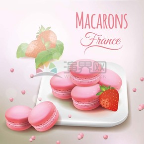  Romantic Powder Macaron Cake Material