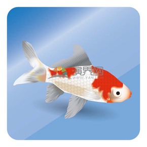 金魚icon樣式素材