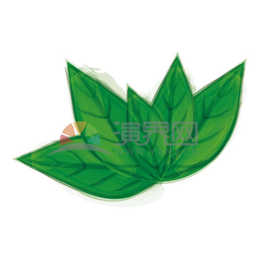 手繪水彩綠色葉子植物素材