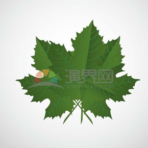 簡(jiǎn)筆畫(huà)綠葉素材