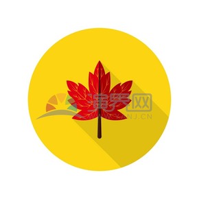 黃底紅色楓葉icon