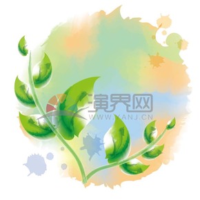  Hand painted watercolor green leaf plant material