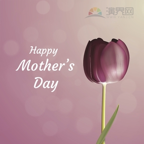 创意简单设计赞扬歌颂母亲母亲节卡通画文字粉色郁金香宣传海报