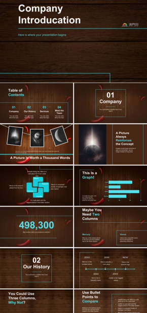 復古木紋企業(yè)介紹模板