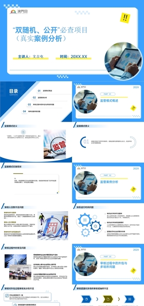 淺藍色-行業(yè)分析-“雙隨機、公開”必查項目（真實案例分析）-PPT