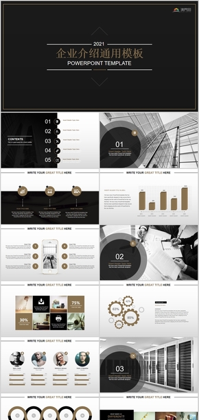 商務(wù)風大氣黑金企業(yè)介紹通用PPT模板