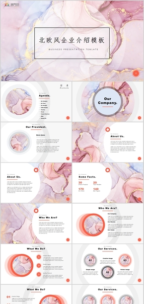 北歐大理石企業(yè)介紹商業(yè)計(jì)劃書通用PPT模板