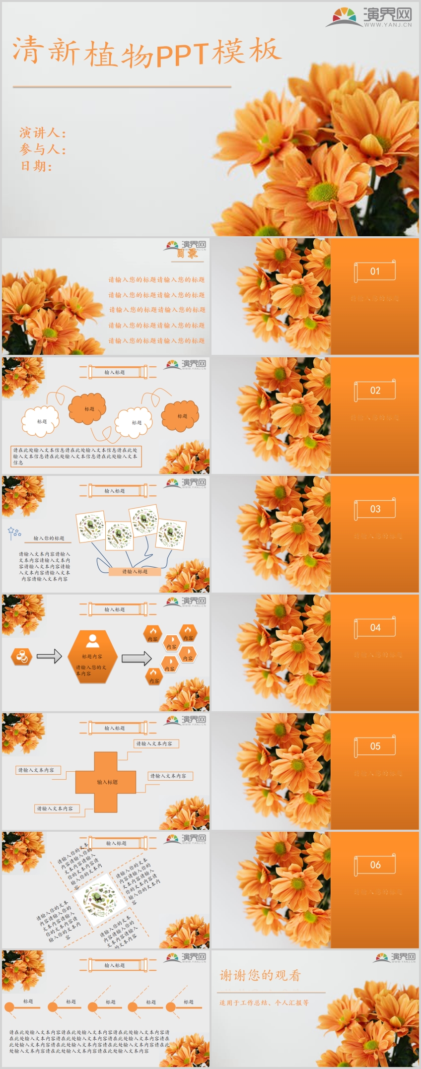 清新植物雛菊活力橙模板