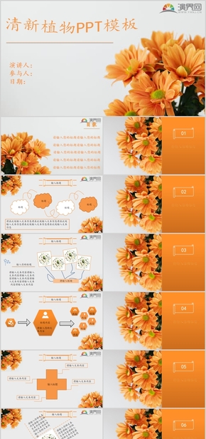 清新植物雛菊活力橙模板