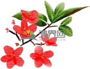 水彩風(fēng)小紅花