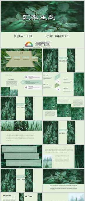  Report on the theme of green plant leaves Summary of the plan Simple wind ins PPT template