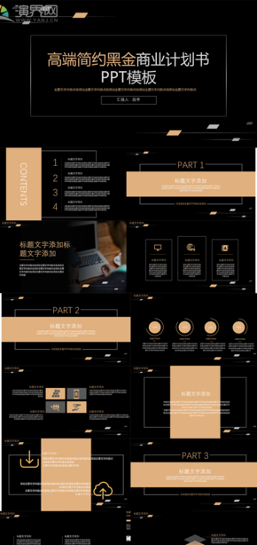 高端簡約黑金商業(yè)計劃書PPT模板