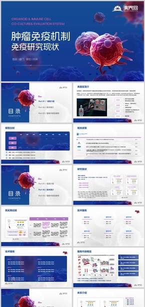 腫瘤類器官/免疫生物醫(yī)學(xué)介紹/匯報PPT