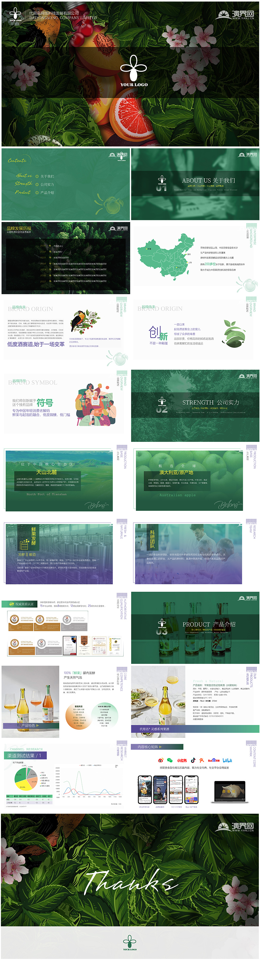 插畫風水果風果酒清新公司介紹商務計劃書