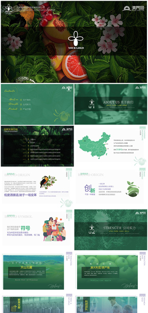  Illustrated Fengshui Fruit Wine Fresh Company Introduction Business Plan