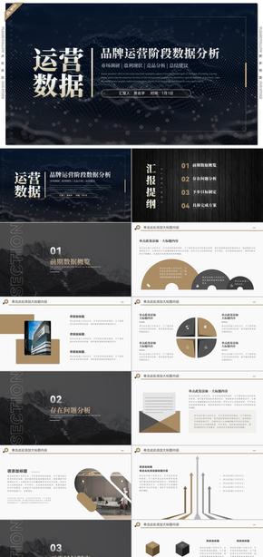 商務風品牌運營階段數(shù)據分析PPT
