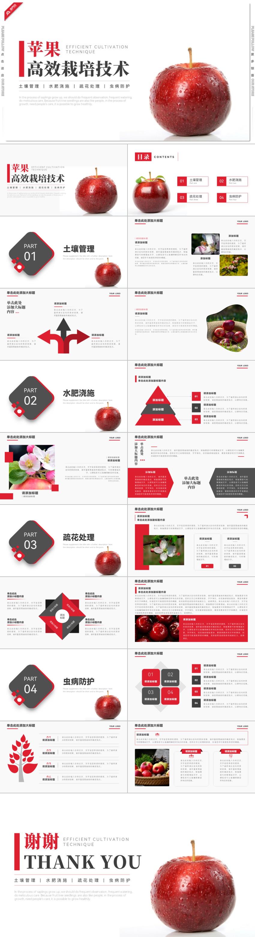 紅色蘋果高效栽培技術(shù)PPT