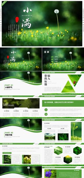 绿色中国风小满节气传统文化介绍PPT模板