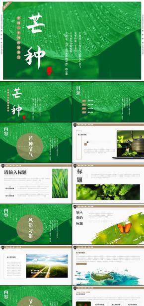绿色中国风芒种节气传统文化介绍PPT模板