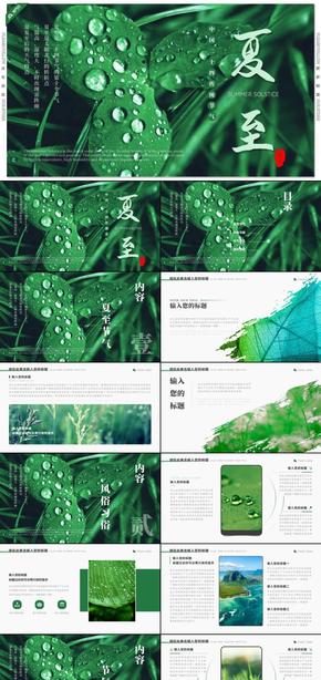 深绿色中国风夏至节气传统文化介绍PPT模板