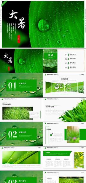 绿色中国风大暑节气传统文化介绍PPT模板