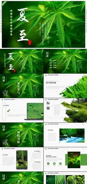绿色中国风夏至节气传统文化介绍PPT模板