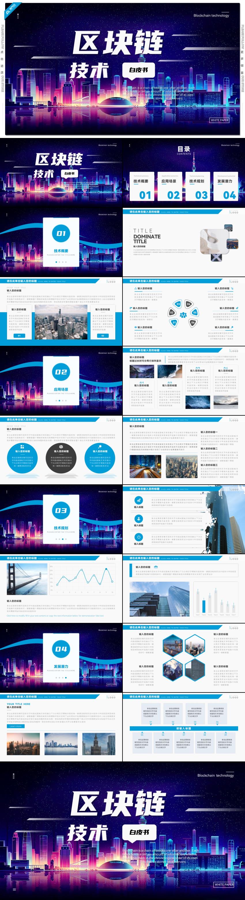 藍色科技風(fēng)項目路演區(qū)塊鏈技術(shù)白皮書PPT模板