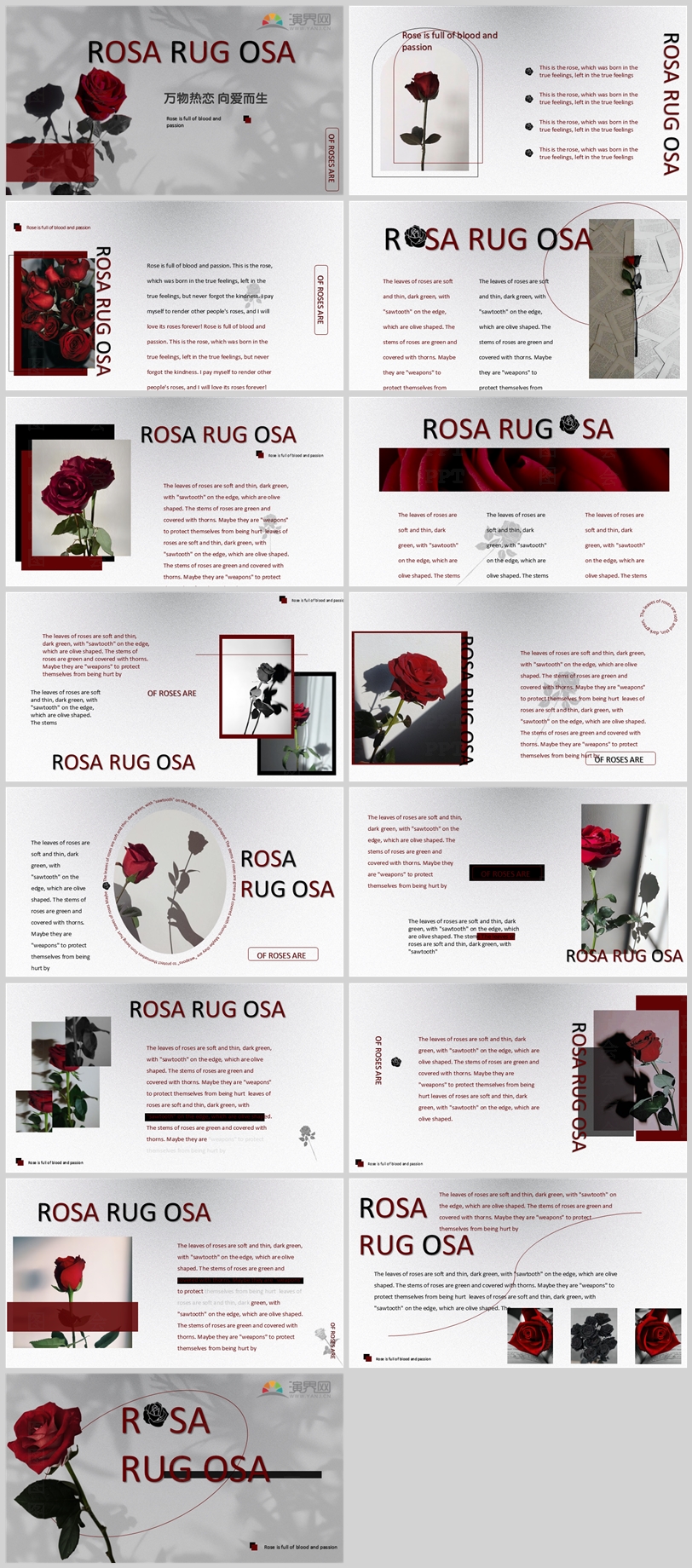 情人節(jié)七夕質感紅玫瑰工作計劃規(guī)劃PPT模板