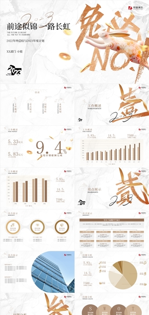 奢金緞光年終總結PPT模板