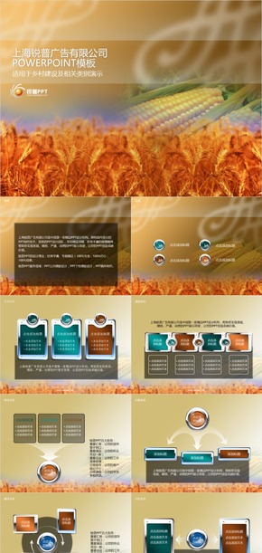  Golden Wheat Corn Agricultural Harvest PPT Template
