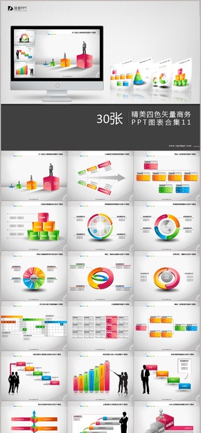 精美四色矢量商務(wù)PPT圖表合集30張