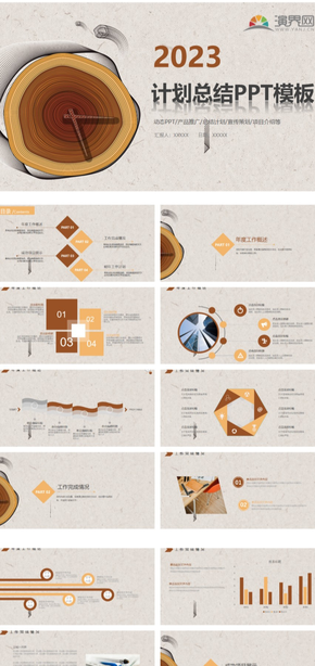 大氣棕色計(jì)劃總結(jié)PPT模板