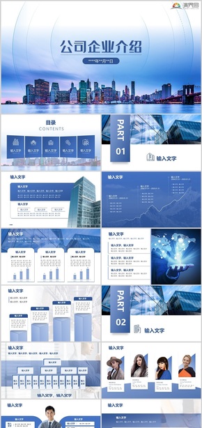 色商務企業(yè)介紹營銷方案PPT模板