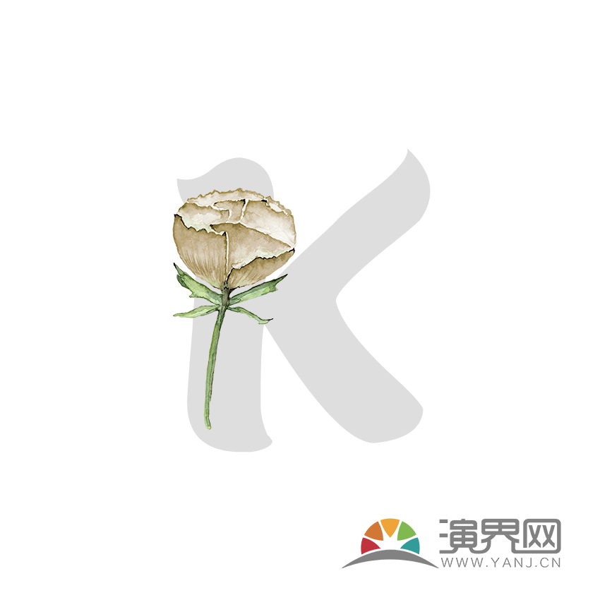 字母K