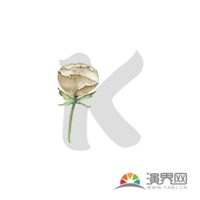 字母K