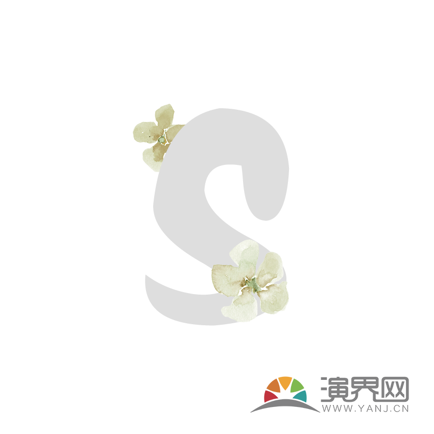 字母S