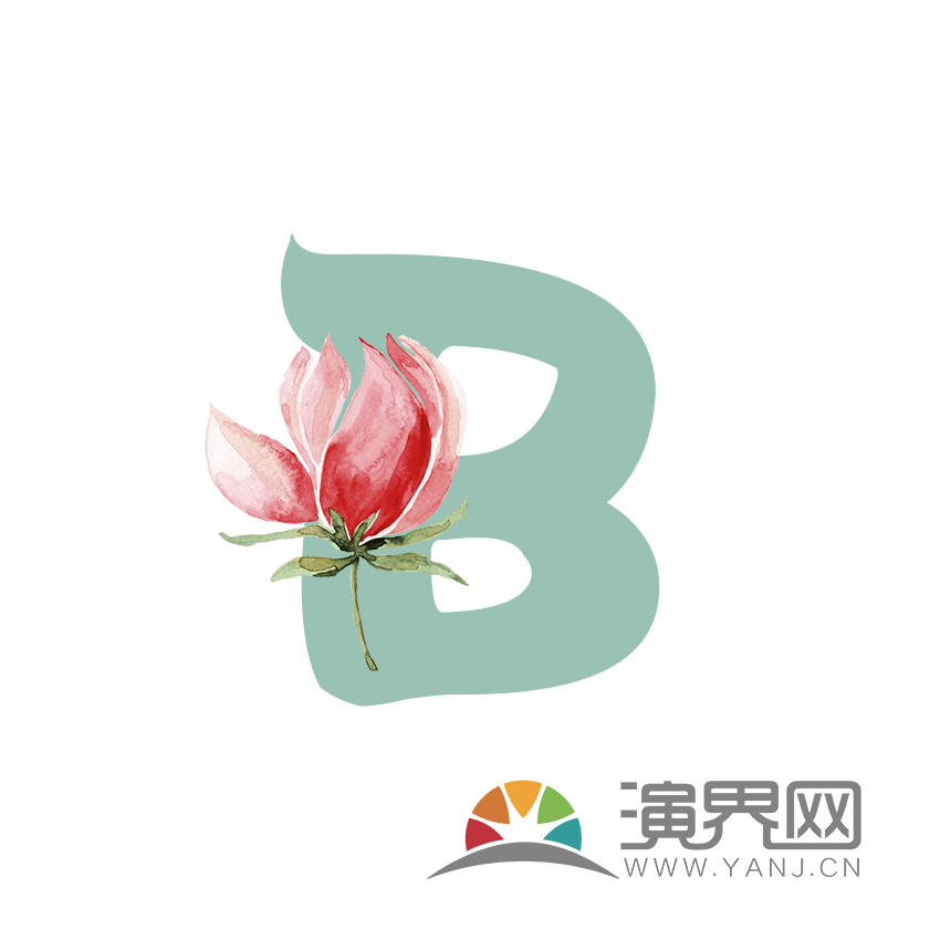 字母B