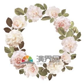  6 White rose