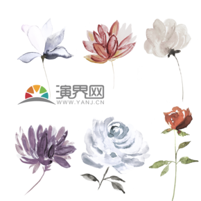  1 Watercolor flower sketch