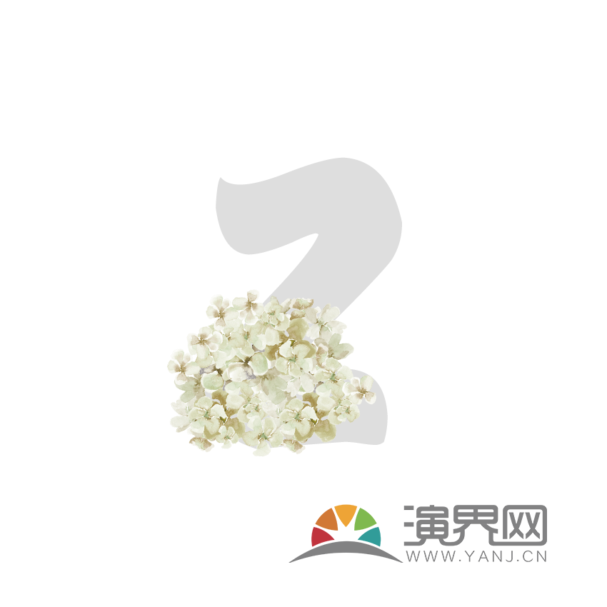 字母Z