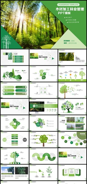 森林木材加工林業(yè)管理PPT模板
