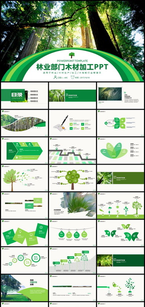 林業(yè)管理森林木材加工PPT