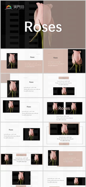 粉色玫瑰复古杂志风PPT模板