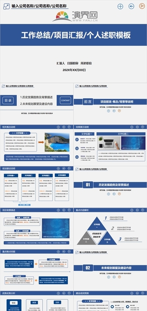 工作總結(jié)項目匯報個人述職模板